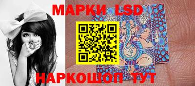Альфа ПВП Можга