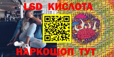 шишки Моздок