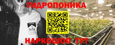 Альфа ПВП Можга