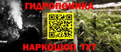 шишки Моздок