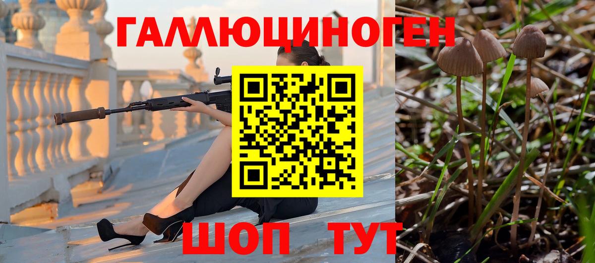 Галлюциногенные грибы GOLDEN TEACHER  Вход с VPN  купить наркоту  Энгельс  Псилоцибиновые грибы прущие грибы 
