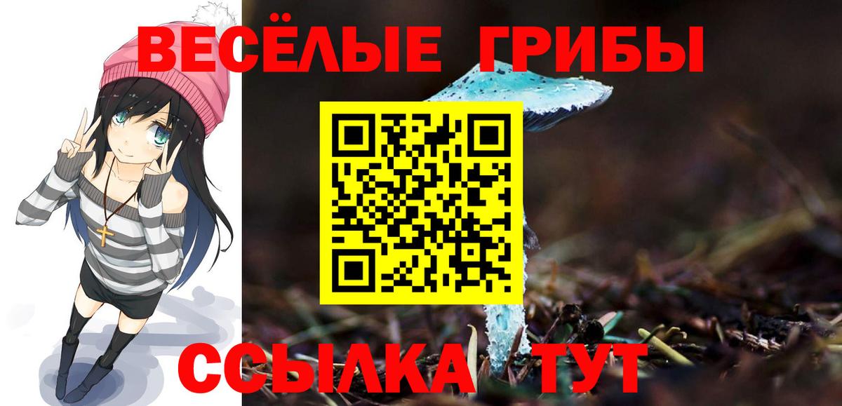 Псилоцибиновые грибы прущие грибы Энгельс